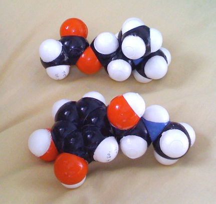 アドレナリンとアセチルコリンの分子モデル