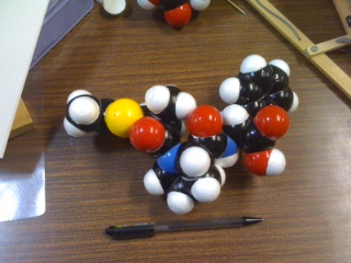 アラセプリル分子模型