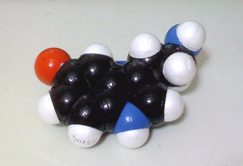 セロトニン分子模型