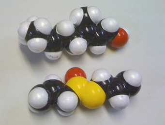 ゲラニオール（バラの香り）、アリシン（にんにくの香り）分子模型