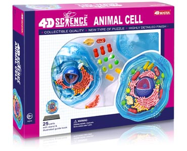 4Dサイエンス「植物細胞・動物細胞」